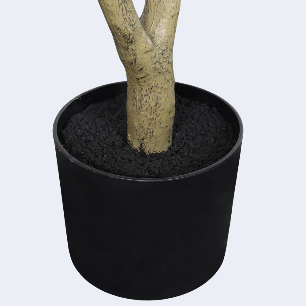 6FT Artificial Olive Tree - Realistic Faux Silk Plant with Lush Green Leaves, Modern Luxury Ficus in Black Plastic Pot for Home Office Living Room Decor - 1pc